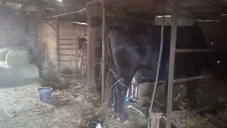 Света нет, а вы держитесь