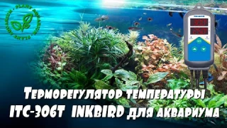 Терморегулятор температуры ITC 306Т  INKBIRD для аквариума