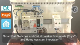 Smart Rail Switches and Circuit breaker from at-ele (Tuya?) and Home Assistant integration