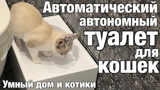 Умный автоматический кошачий туалет Российского производства. Умный дом и котики