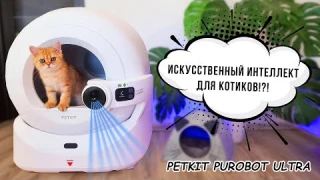 Знакомство с новым питомцем. Обзор автоматического кошачьего туалета PUROBOT ULTRA PETKIT.