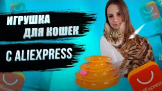 Игрушка для кошек с Алиэкпресс | Триламинарные игрушки для домашних животных