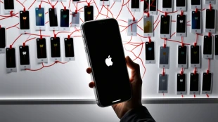 Заговор или защита? Кто на самом деле стоит за лучшими чехлами для iPhone 16