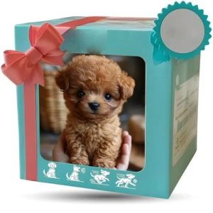 Улучшенный робот-собака — Роботы-питомцы, EJV