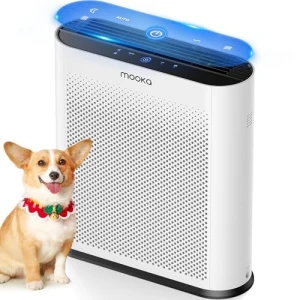 Очиститель воздуха для больших помещений — Очистители воздуха, Mooka