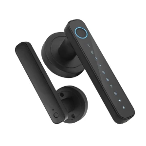 Умный дверной замок с отпечатком пальца — Умные замки, TOMTOP JMS