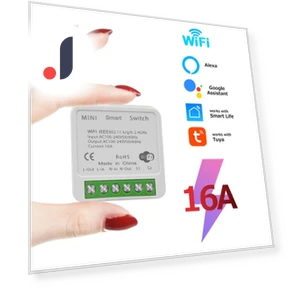 Mini WiFi Smart Switch ZigBee Module 16A 2-позиционный выключатель — Центры управления и контроллеры, Build My Home