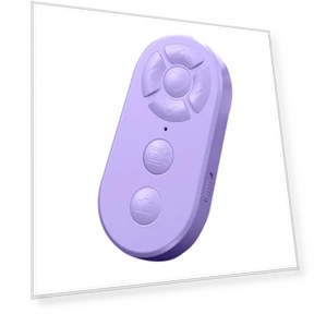 Перезаряжаемый пульт дистанционного управления Bluetooth — Пульты дистанционного управления, Luminaire Lighting Mall