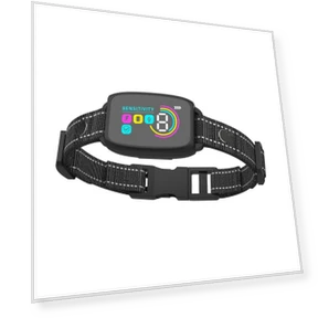 Ультразвуковой ошейник против лая — Ошейники против лая, Homedepot