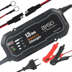 Автоматическое зарядное устройство для аккумуляторов, Comfort Homeware