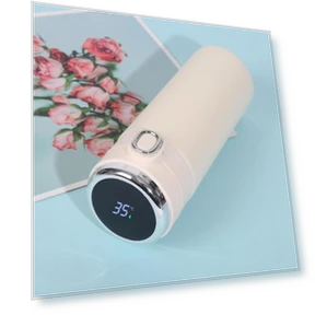 Умный термос — Подогреватели напитков, Auto Home Solutions