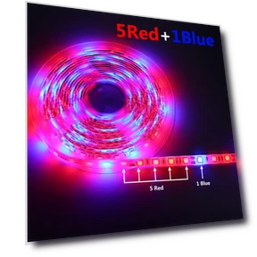 Светодиодные ленты с сенсорным переключателем — Лампы для растений, MALITAI