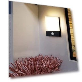 Уличный светодиодный настенный светильник с датчиком движения — Прожекторы и охранное освещение, Binchi Lighting Appliances