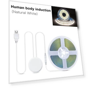 USB COB светодиодная лента с сенсорным диммером — LED ленты, AIMINGTE Light Accessories