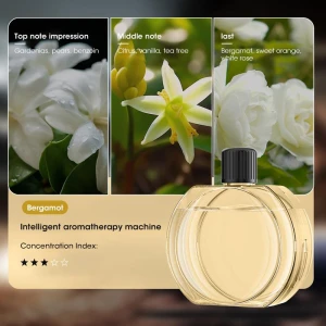 Настольный ароматерапевтический масляный диффузор — Аромадиффузоры, WinHolder