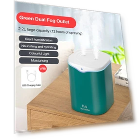 Двойной увлажнитель воздуха с распылением — Увлажнители воздуха, Leisury