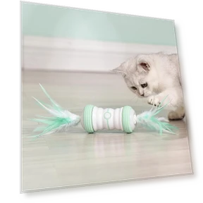 Электрическая игрушка для кошек с автоматическим вращающимся колесом — Игрушки для питомцев, Pet family bucket