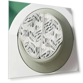 Умная занавеска для туалета — Наполнитель, Rainbow Rain