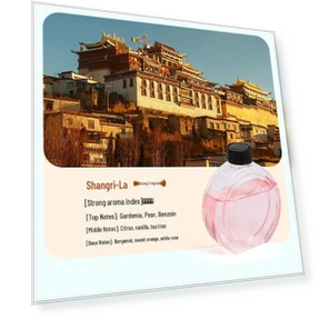 Умная цифровая ароматерапевтическая лампа — Аксессуары для ароматизации дома, Perfect choice for your home