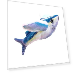 Интерактивная игрушка для кошек в виде хлопающих крыльев — Игрушки для питомцев, yangyizhi