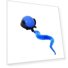 Автоматический тренировочный мяч для собак и кошек — Автоматические пусковые устройства для мячей, SHshuaizhen