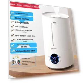 Бесшумный комнатный увлажнитель воздуха — Увлажнители воздуха, Chigo