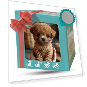 Робот-собака с виляющим хвостом — Интерактивные игрушки, Lianchuang