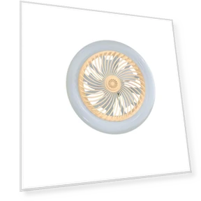 Потолочный вентилятор с подсветкой — Элементы управления для вентиляторов, Rainbow Rain