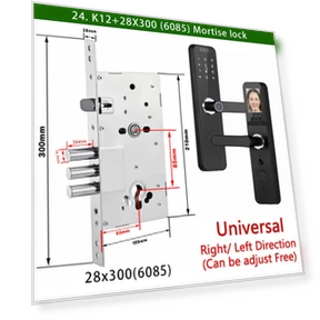 Электронный замок с WiFi камерой, 3D распознаванием лица и отпечатка пальца — Домашние системы безопасности, RAYKUBE