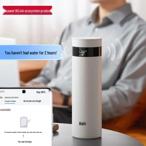 Умная термоизолированная бутылка с LED-дисплеем температуры — Умные бутылки для воды, Hars