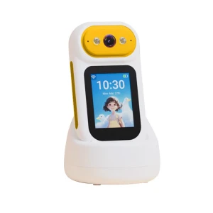 Портативная камера наблюдения — Камеры видеонаблюдения