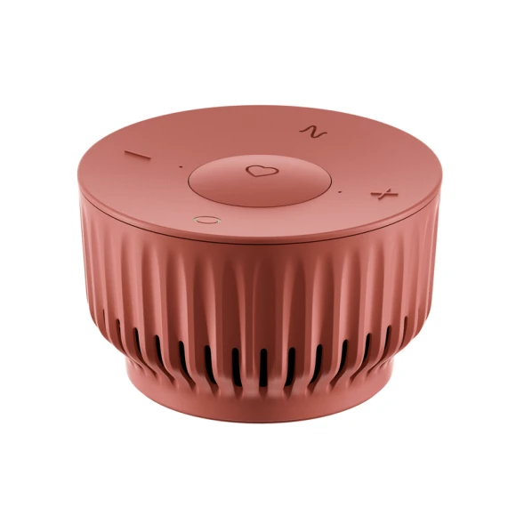 Smart Speaker — Smart Speaker, Sber