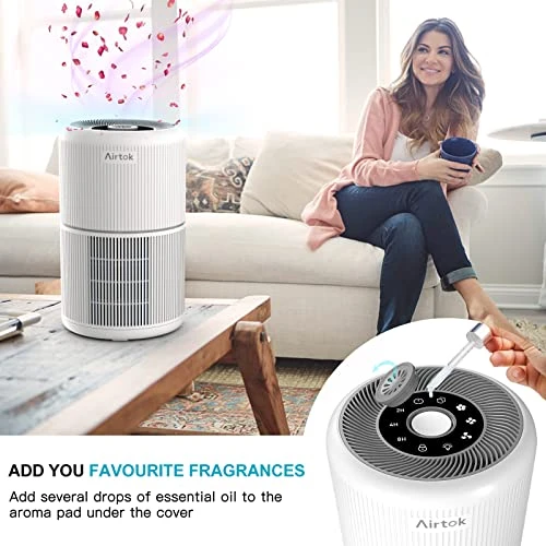2 Pack H13 True HEPA Air Purifier for Home, Bedroom, Smoke, Dust, Odors, Pollen, Pet Dander — Air Purifier, AIRTOK