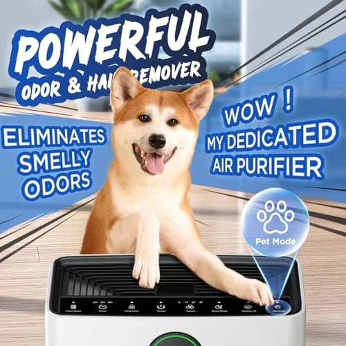 Large Room Air Purifier with Washable Filter and PM 2.5 Display — Air Purifier, Mooka
