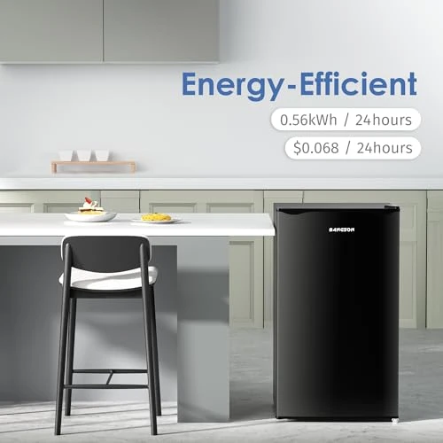 Mini Fridge with Freezer — Smart Refrigerator, BANGSON