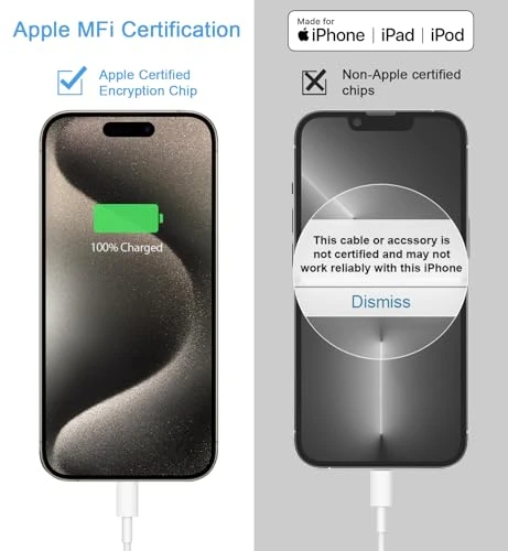 Fast Charging Wall Charger with Cable — Power Bank, Coreykin