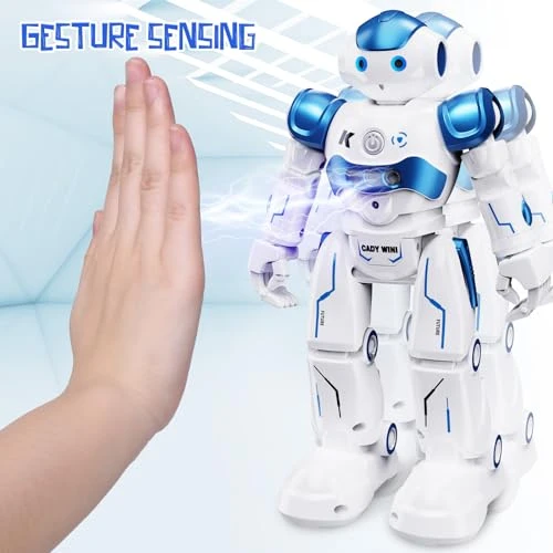 Gesture Sensing Programmable Rechargeable Remote Control Robot, SGILE
