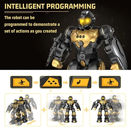 Gesture Sensing RC Robot Toy, Semour