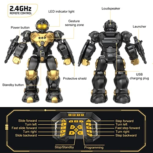 Gesture Sensing RC Robot Toy, Semour