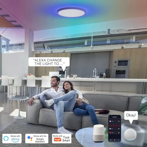 Smart LED Ceiling Light — Smart Light Bulb, Dcvoltfield