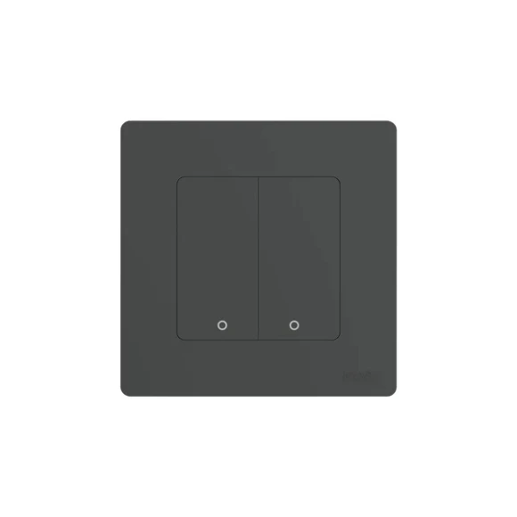 Smart Switch Double — Smart Switch, MOES