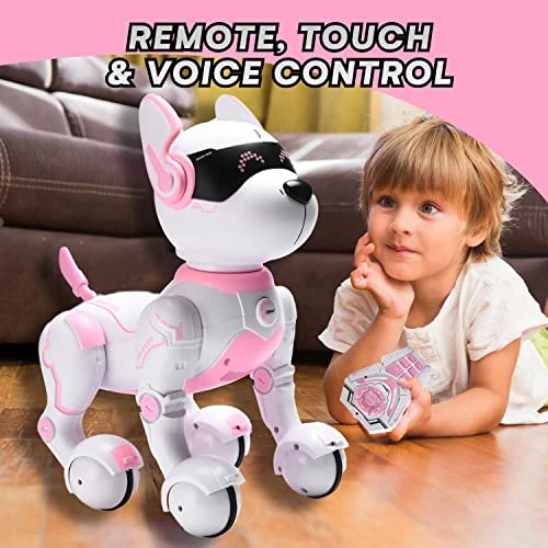 Pink Robot Dog — Robot Pet, Top Race