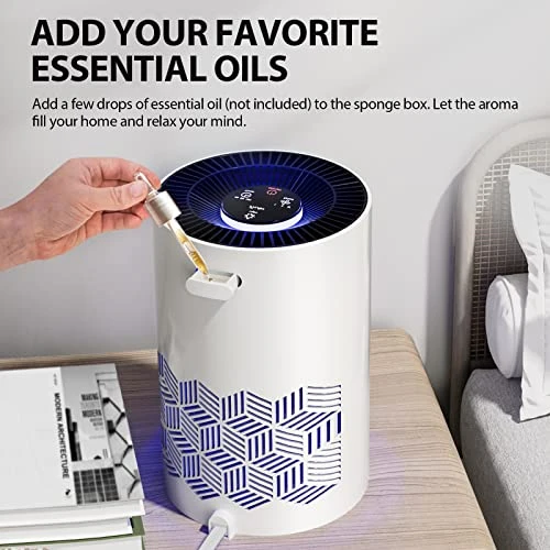 Air Purifier with RGB Lights — Air Purifier, FreAire