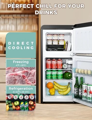 Mini Fridge with Freezer, Anypro