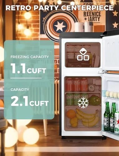 Mini Fridge with Freezer, Anypro
