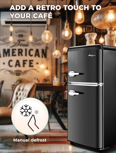 Mini Fridge with Freezer, Anypro