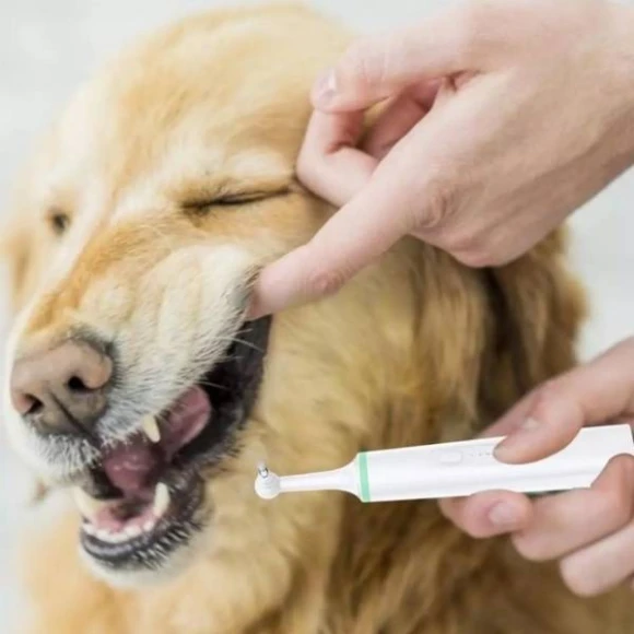 Electric Toothbrush for Pets — Electric Toothbrush