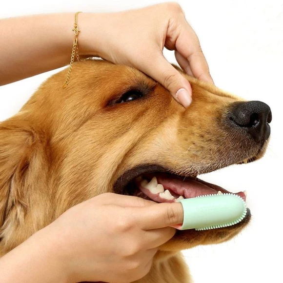Finger Toothbrush for Pets