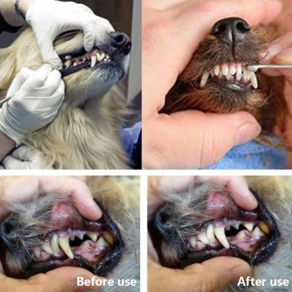 Pet Teeth Cleaning Tool