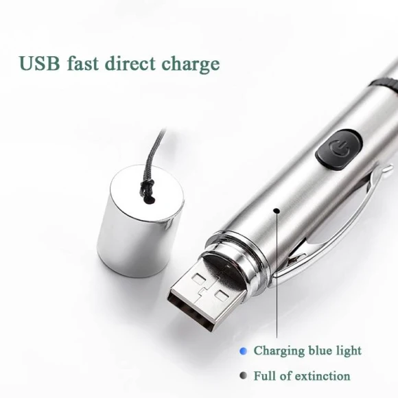 Rechargeable Projection Cat Flashlight — Automatic Cat Toy